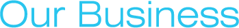 Our Business